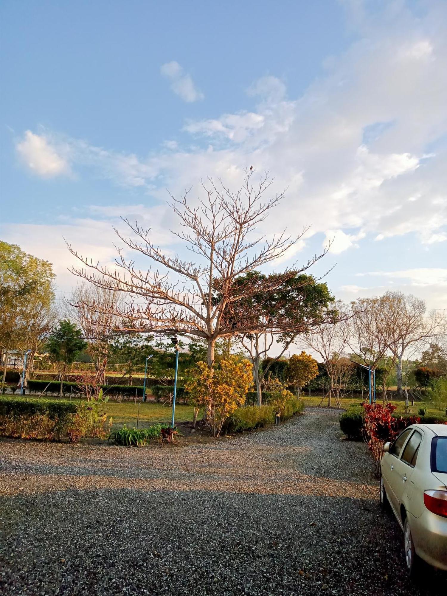 Pensjonat Maple Feeling Vacation Farm Guangfu Zewnętrze zdjęcie